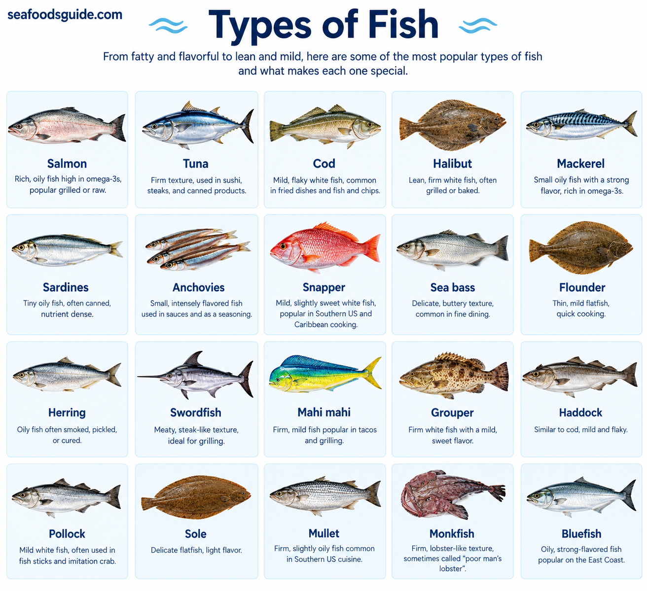 Types of Fish: Common Fish Varieties